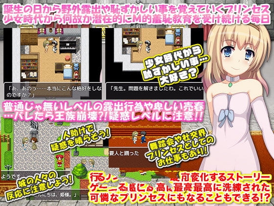 公主卖椿奋斗记！半阙精修完整汉化版+全CG-次元小屋