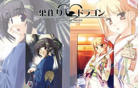 筑巢之龙(巣作りドラゴン) 中文汉化版 日式SLG游戏-次元小屋