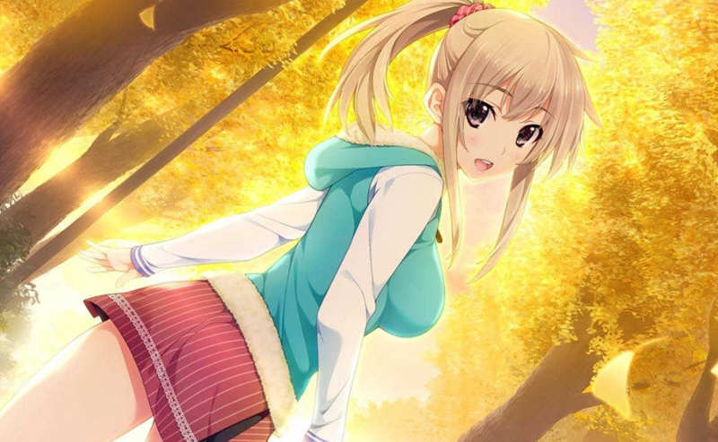 图片[3]-新妻LOVELY×CATION 精翻汉化版+全CG存档 大型ADV游戏-次元小屋