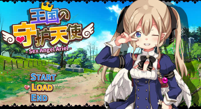 王国的守护天使 DL官方中文版 超火爆ARPG游戏 300M-次元小屋