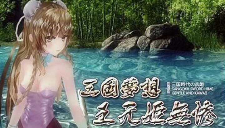 三国梦想：王元姫無惨 官方中文版 同人ARPG游戏 补 3.8G-次元小屋