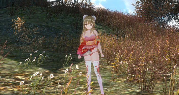 图片[4]-三国梦想：王元姫無惨 官方中文版 同人ARPG游戏 补 3.8G-次元小屋