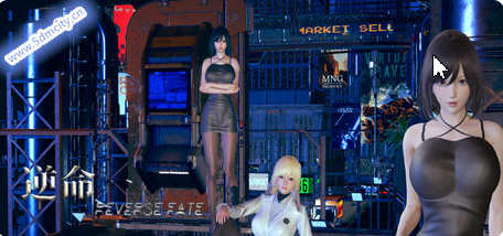 逆命(REVERSE FATE) V2.10 中文修复版 PC+安卓+CV RPG游戏 4G-次元小屋