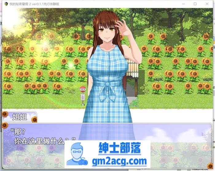 【RPG/汉化/全动态】我的暑假秘密回忆2 Ver1.03 云汉化正式版【更新/CV/1G】-次元小屋