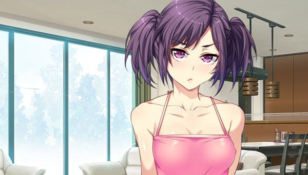 和枪间一家的奇妙暑假 汉化版 ADV游戏+漫画&ORCSOFT 1.3G-次元小屋