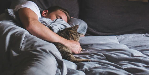 灵丹妙药(Elixir of Life) ver0.8 浏览器汉化版 HTML游戏 1G-次元小屋