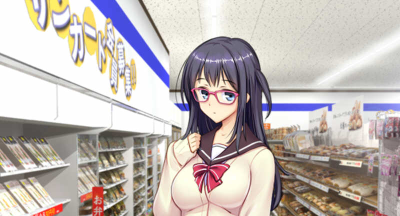 少女便利店Z:新进货 AI精翻汉化版+全DLC整合 模拟经营游戏+存档 4.8G-次元小屋