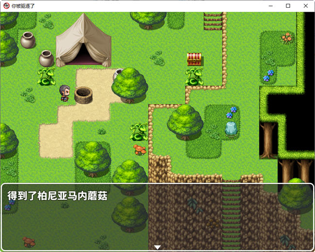 图片[2]-你被驱逐了 官方中文作弊版 PC+安卓 RPG游戏 1.2G-次元小屋