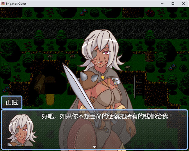 图片[3]-山贼(Brigands Quest) ver1.02 汉化版 日系RPG游戏 900M-次元小屋