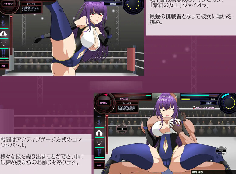 图片[2]-【互动SLG/擂台格斗/强X/全动态/PC】斗技女王薇奥拉（闘技女王ヴァイオラ）V1.0 机翻汉化【3.10G/新作】-次元小屋